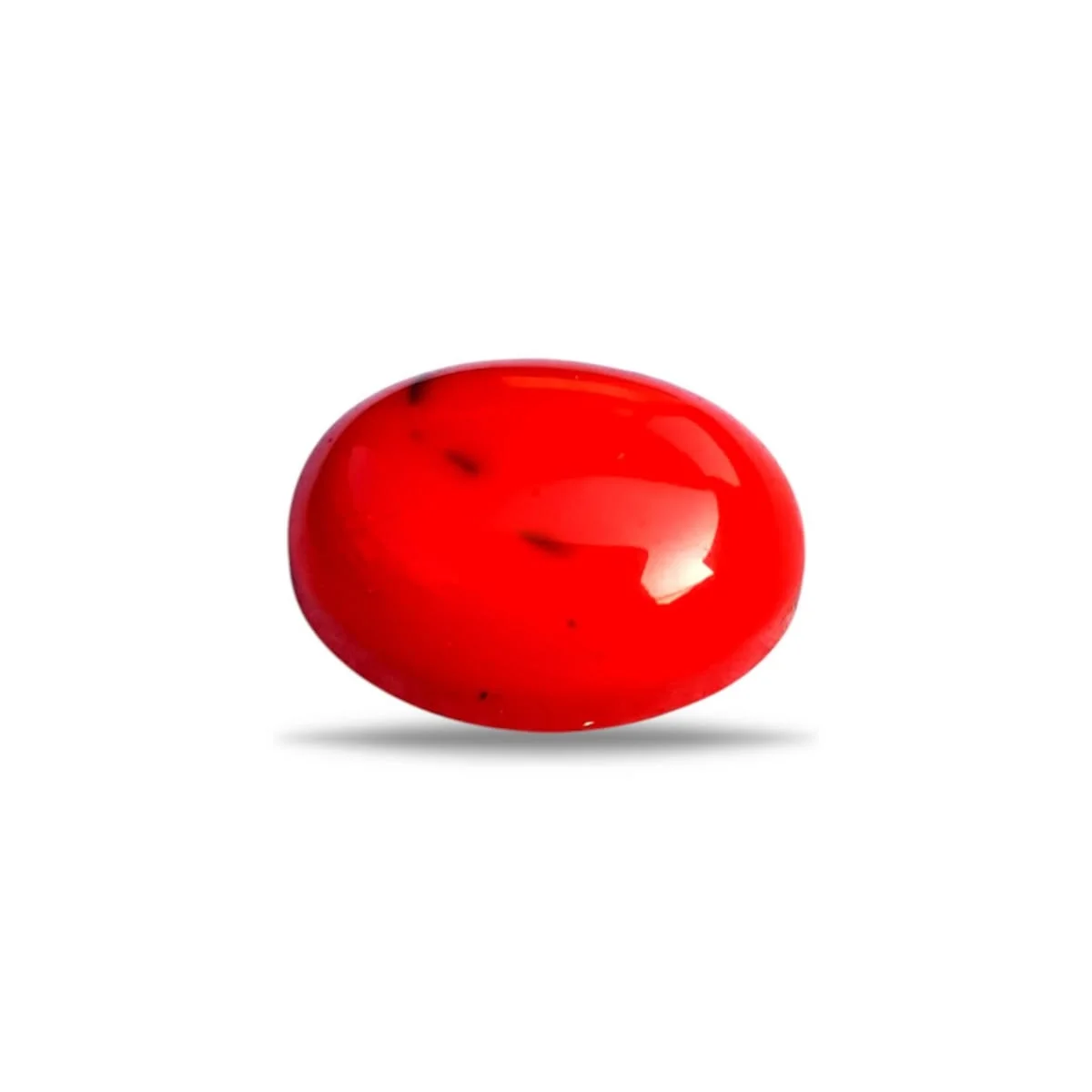 Red Coral (Moonga)